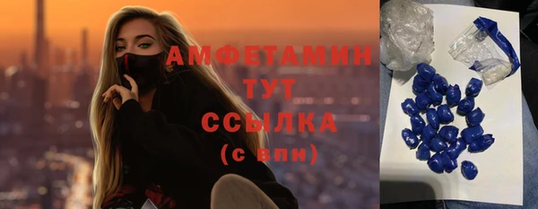 хмурый Алексин