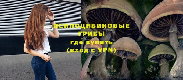 а пвп мука Алзамай