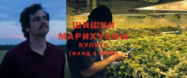 дмт Абаза