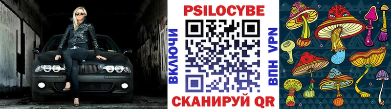 площадка Telegram  Сухой Лог  Псилоцибиновые грибы прущие грибы 